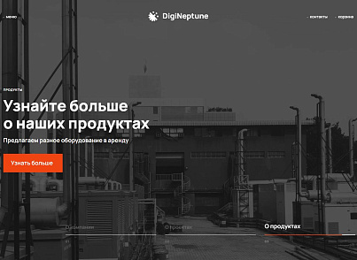 Имиджевый промо-сайт DIGINEPTUNE