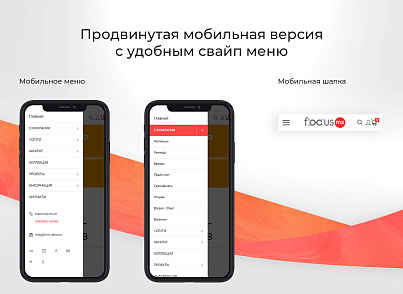 Focus: Корпоративный сайт + интернет-магазин