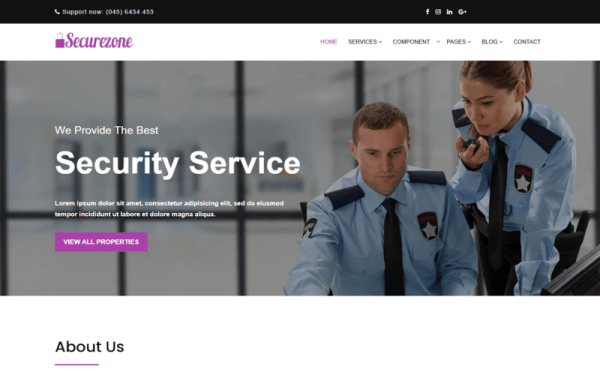 SecureZone || HTML-шаблон компании по предоставлению услуг безопасности