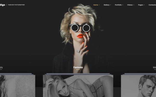 Indigo - адаптивный многостраничный веб-сайт для модного фотографа